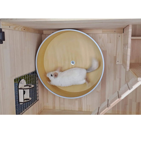 Quiet 16 Inch Chinchilla Exercise Wheel With Double Ball Bearings For Whisper Quiet Spin And Chew Resistant Metal Rim Plus Non Slip Surface And Easy Clean Ideal For Small Pets From AMIDA Craft in use by chinchilla