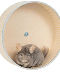 Quiet 16 Inch Chinchilla Exercise Wheel With Double Ball Bearings For Whisper Quiet Spin And Chew Resistant Metal Rim Plus Non Slip