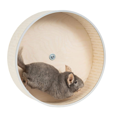 Chinchilla running in Quiet 16 Inch Chinchilla Exercise Wheel With Double Ball Bearings For Whisper Quiet Spin And Chew Resistant Metal Rim Plus Non Slip Surface And Easy Clean Ideal For Small Pets From AMIDA Craft.