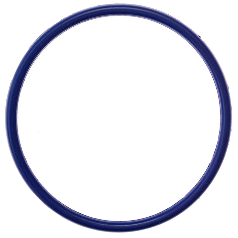 Chlorine Resistant Viton O Ring 2 Pack With Silicone Lubricant For Pentair Rainbow Chlorinator 300 And 320 Lid Replacement Seal Keeps Your Pool System Leak Free And Sealed Up blue O-ring