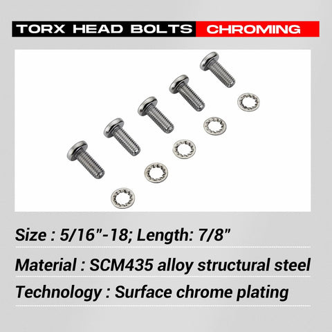 Chrome Front Disc Brake Rotor Torx Bolts 10 Pack Five Sixteenths By Eighteen Threads Seven Eighths Inch Long For Harley Davidson Touring Dyna Softail Sportster Street Glide With Cast Wheels OEM 43655 Replacement Screws shown with washers