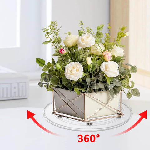 Six Pack 6 Inch Clear Acrylic Lazy Susans With Ball Bearing Rotation Smooth 360 Degree Bi Directional Turntable Set with plant
