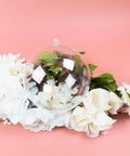 5.5" Clear Big Plastic Acrylic Arts & Crafts Giant Mold Shells Molding Balls Crafting Kit (140mm) (6) on floral background