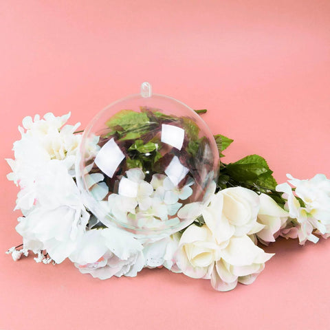 5.5" Clear Big Plastic Acrylic Arts & Crafts Giant Mold Shells Molding Balls Crafting Kit (140mm) (6) on floral background