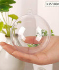 Hand holding 20 Pack Clear Plastic Fillable Ornament Ball 3.15''/80mm for Christmas, Holiday, Wedding, Party, Home Decor