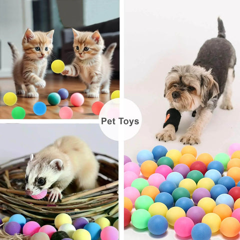 Cats, dog, and ferret playing with Colored Ping Pong Balls: 20 Pack 3 Star ABS - Durable & High Bounce for Kids Adult Practice.