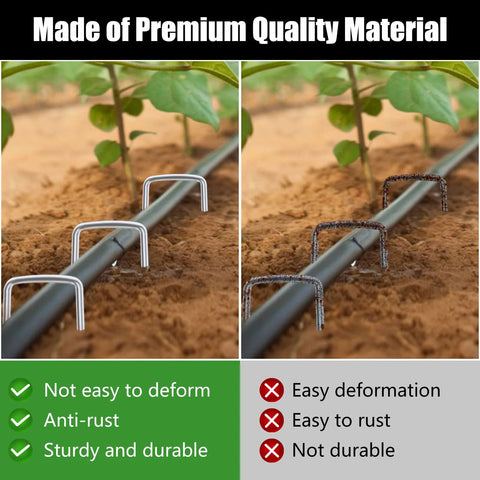 Comparison of heavy duty galvanized landscape staples and rust-prone stakes securing a hose in soil