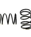 Compression Spring Replacement For EGO 3660582001 Fits ST Series Trimmer Heads 2 Pack, black metal springs close-up