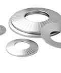 Conical Disc Spring Cup Washers 304 Stainless Steel 3/8 Inch Pack of 10 arranged in various sizes