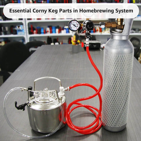 Ball Lock Keg Post Quick Disconnect Set For Corny Kegs Stainless Steel Homebrew Connectors with keg and gas cylinder