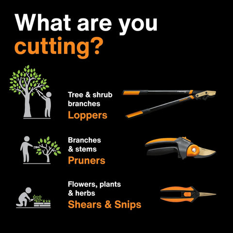 Illustration showing tools for cutting: loppers for tree branches, pruners for branches, shears for flowers; includes text 'What are you cutting?'