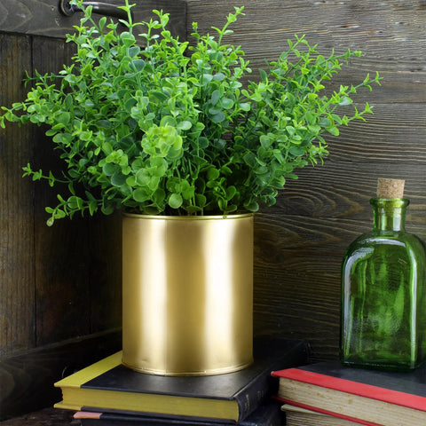 Gold metal can with lush green plant and books on rustic table