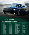 Vehicle fitment chart for Beefed Up 12V 136A High Output Alternator Replacement For Dodge Dakota 1999 2000 with car image.