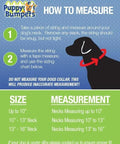 Infographic showing how to measure dog neck size for Escape Proof Dog Safety Collar For Pups, 10 To 13 Inch Neck, Stuffed Safety Wrap.