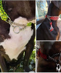 Close-up of a dog wearing collars made from heavy duty 2 inch macrame rings set built tough with welded O rings 50mm outer diameter.