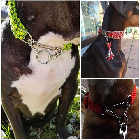 Close-up of a dog wearing collars made from heavy duty 2 inch macrame rings set built tough with welded O rings 50mm outer diameter.