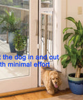 Dog using door opening on a sliding patio door with plants outside and inside.