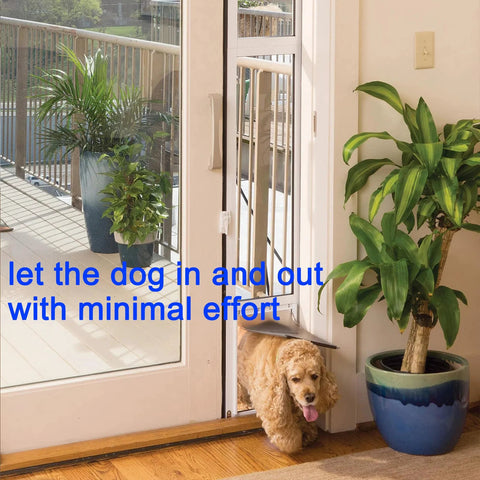 Dog using door opening on a sliding patio door with plants outside and inside.
