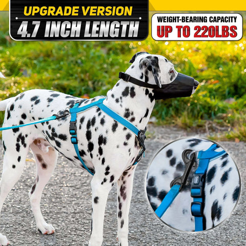 Dalmatian with blue dog harness featuring 4.7 Inch Double Ended Bolt Snap Hooks With 220 Lbs Capacity Heavy Duty Rust Resistant Zinc Alloy Clips.