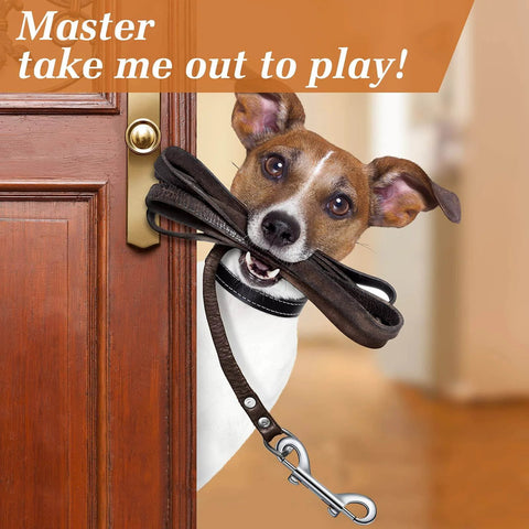 Dog holding leash with 20 Pieces 3.5 Inch Double Ended Bolt Snap Hooks Zinc Alloy With Double Trigger Chain Metal Clips For Key Holders