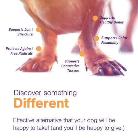 Vet Formulated Movoflex Dog Joint Support Chews For Small Breeds Up To 40 Lbs image showing benefits like joint and bone support