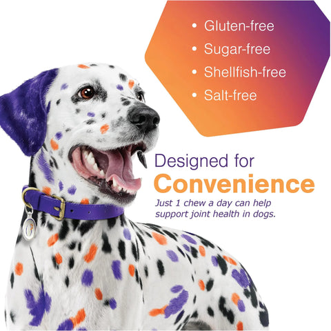 Dalmatian dog with colorful spots promoting Vet Formulated Movoflex Dog Joint Support Chews; gluten-free, sugar-free benefits highlighted.