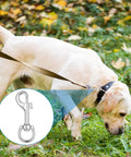 Dog walking on grass with inset showing Fifty Pack Swivel Snap Hooks For Dog Leash Heavy Duty 2.68 Inch Flag Clasp.