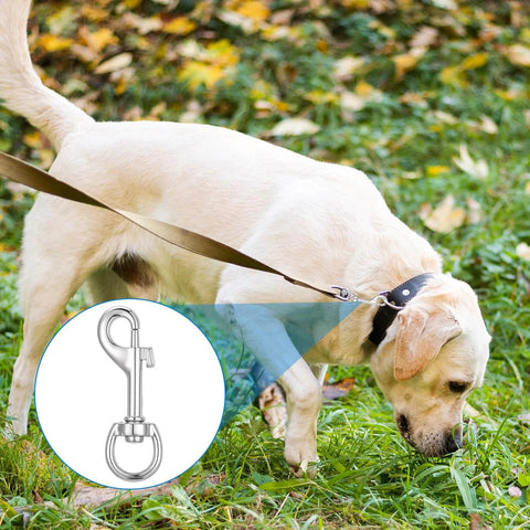 Dog walking on grass with inset showing Fifty Pack Swivel Snap Hooks For Dog Leash Heavy Duty 2.68 Inch Flag Clasp.