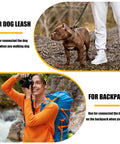Dog leash and backpack usage examples for 30 Pcs Heavy Duty 3 Inch Spring Snap Hook M8 Five Sixteenth Inch Galvanized Steel Carabiner