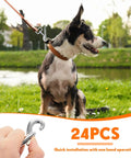 Dog on leash with 24 pack swivel snap hook, heavy duty 2.76 inch flag clasp clip, ideal for pet leashes by a lake.