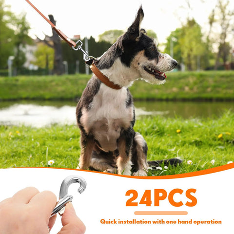 Dog on leash with 24 pack swivel snap hook, heavy duty 2.76 inch flag clasp clip, ideal for pet leashes by a lake.