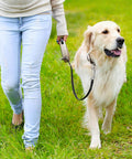 Person walking a dog using Double Ended Bolt Snap Trigger Clips Spring Loaded Quick Release 4 Inch 10cm 20 Pack Versatile