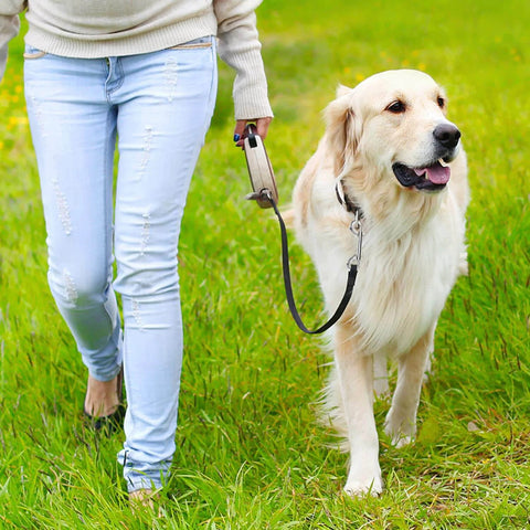 Person walking a dog using Double Ended Bolt Snap Trigger Clips Spring Loaded Quick Release 4 Inch 10cm 20 Pack Versatile