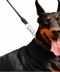 10 Pack Panic Snap Quick Release Metal Snap For Paracord And Get Back Whips With One Half Inch Eye on dog leash