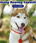 Dog wearing red collar attached with 15 Pack Double Ended Snap Hooks 4 Inch Heavy Duty Double Sided Clips Zinc Alloy Metal Clip