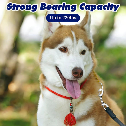 Dog wearing red collar attached with 15 Pack Double Ended Snap Hooks 4 Inch Heavy Duty Double Sided Clips Zinc Alloy Metal Clip