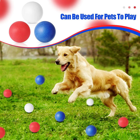 Golden retriever playing with 120 Pack Colored Table Tennis Balls 40 mm Plastic Balls Bulk for 4th of July Carnival Wedding Pool Games.
