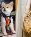 Pomeranian dog in a colorful harness sitting in a car next to a yellow ruched handbag.
