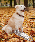Dog in autumn leaves with Nickel Plated Quick Release Panic Snap 3 Pack For Paracord displayed on leash