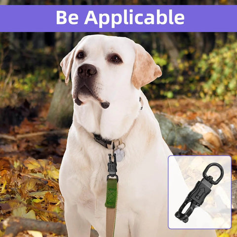 Dog with leash; inset: Set Of Five Nickel Plated 360 Degree Rotating Quick Release Clips For Outdoor Gear Heavy Duty Metal Snaps Ideal...