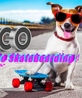 Dog with skateboard and 30-Pack 608RS Sealed Ball Bearings for Skateboards, Inline Skates, Scooters in the background.
