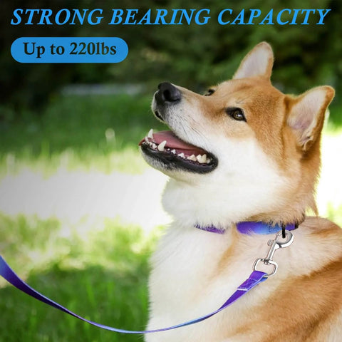 Dog wearing leash attached to extra large 4.23 inch swivel eye bolt snap hook with 220 lbs load capacity made from zinc alloy.