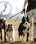Person walking dogs with leashes using 24 Pcs 3.5 Inch Double Ended Bolt Snap Hooks Silver Zinc Alloy Double Trigger Metal Clips