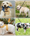 Pets using Eight Piece Set Of Double Ended Snaps 3.5 Inch Zinc Alloy Heavy Duty Bolt Snap Trigger Clips for leash and harness