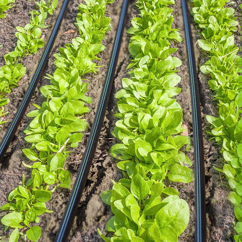 Garden with 25 Pack 1/2 Inch Drip Irrigation Barbed Couplings For 0.600 Inch ID Tubing, Easily Installed, Durable Plastic