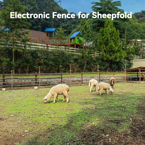 Grazing sheep inside an enclosure with electronic fencing visible, background of trees and buildings in a pastoral setting