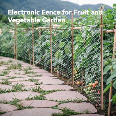 Electronic fence in vegetable garden with pathway, used with 8 Foot Copper Bonded Ground Rod Kit With Five Eighths Inch Diameter And Bronze Clamp