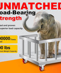 Elephant on platform showing strength of 2 Inch Heavy Duty Caster Wheels Set of 4 Swivel Castor Wheels with Dual Locking Brakes Load 600 Lbs
