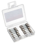 Fast Blow Glass Fuses 5A 250V 5x20mm Pack Of 20 With Plastic Storage Case For Electronics Power Supplies And DIY Projects