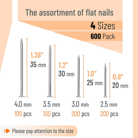 600 Piece Nail Assortment Kit Silver Nails In 4 Sizes For Hanging Pictures And Finishing Nails with measurements and quantities